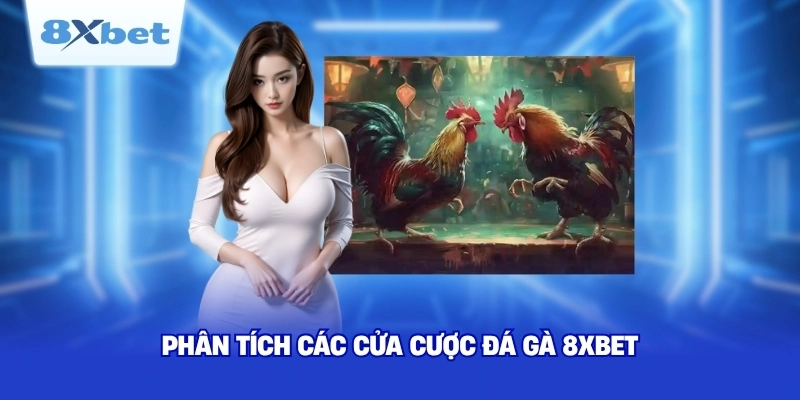 Phân tích các cửa cược đá gà 8XBET