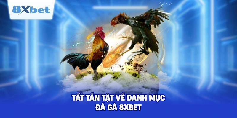 Tất tần tật về danh mục đá gà 8XBET